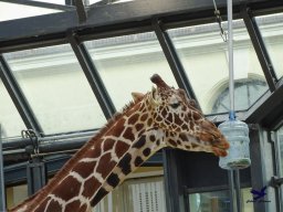 Tiergarten Schönbrunn am 24.02.2026